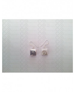 LE 0085 Earrings Shiva Eye Shell Silver 2