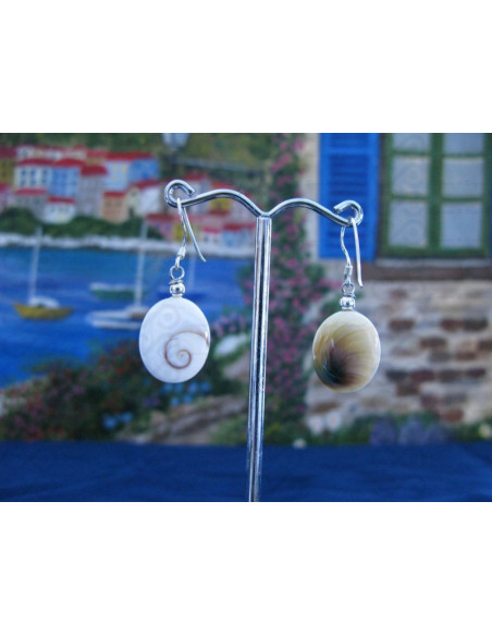 LE 0102 Earrings Shiva Eye Shell Silver