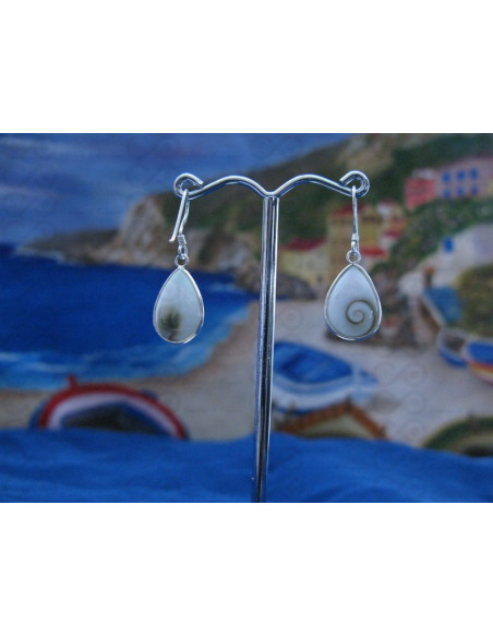 LE 0118 Earrings Shiva Eye Shell Silver