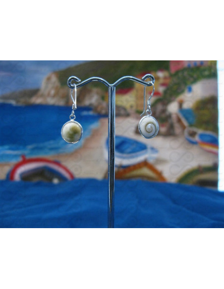 LE 0120 Earrings Shiva Eye Shell Silver