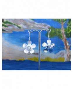 LE 0122 Earrings Shiva Eye Shell Silver