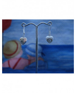 LE 0139 Earrings Shiva Eye Shell Silver