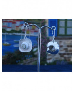 LE 0202sq Earrings Shiva Eye Shell Silver