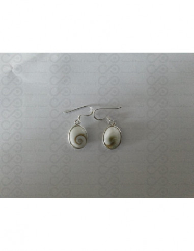 LE 0225 Earrings Shiva Eye Shell Silver