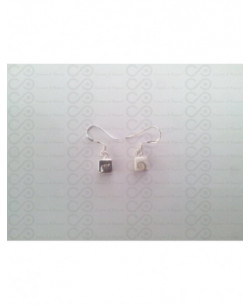 LE 0270 Orecchini in Argento con Occhio di Shiva 2