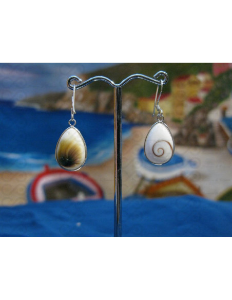 LE 0282 Earrings Shiva Eye Shell Silver