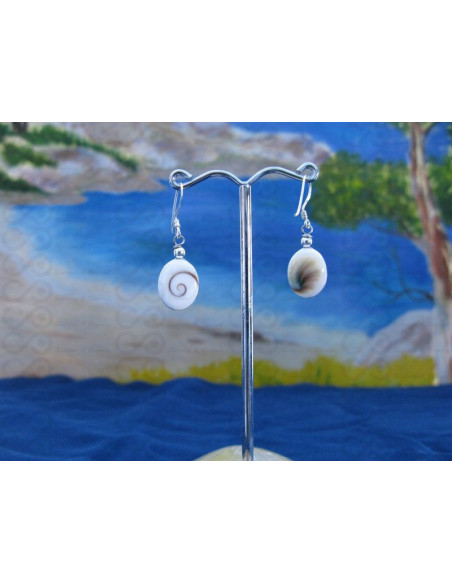 LE 0286o Earrings Shiva Eye Shell Silver