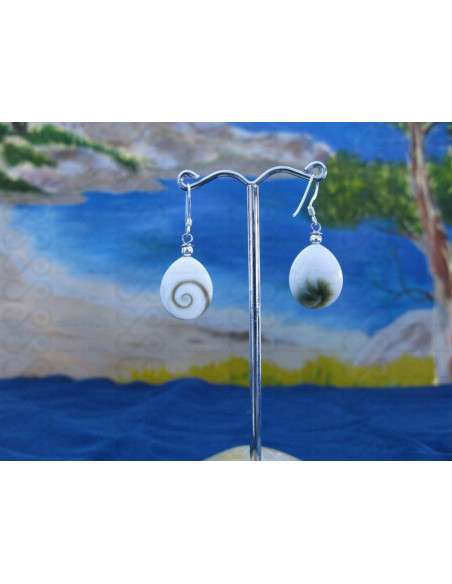 LE 0294 Earrings Shiva Eye Shell Silver