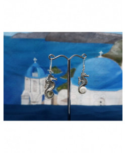 LE 0367 Earrings Shiva Eye Shell Silver