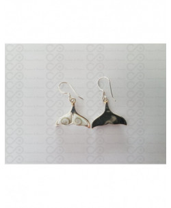 LE 0370 Earrings Shiva Eye Shell Silver 2