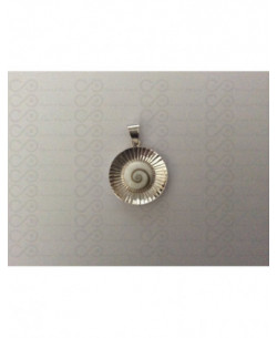 SP 0008 Pendant Shiva Eye Shell Silver 2