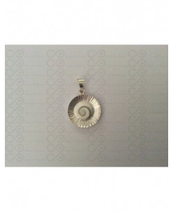 SP 0032 Pendant Shiva Eye Shell Silver 2