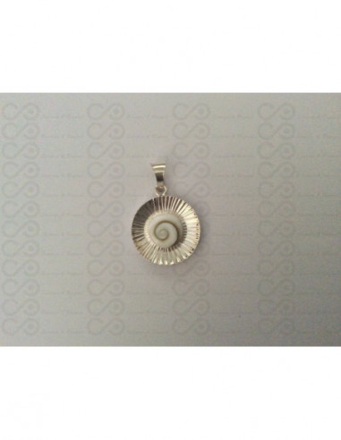 SP 0032 Pendant Shiva Eye Shell Silver