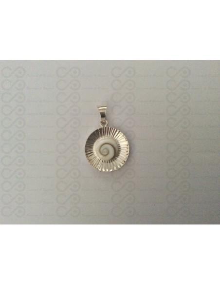SP 0032 Pendant Shiva Eye Shell Silver