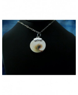SP 0040 Pendant Shiva Eye Shell Silver 2