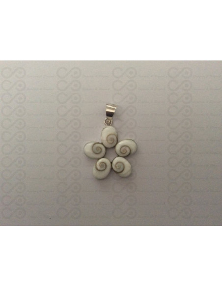 SP 0052 Pendant Shiva Eye Shell Silver