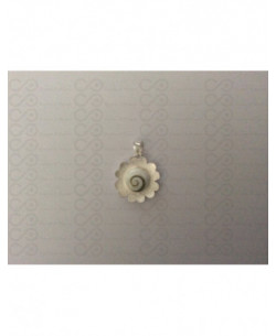 SP 0063 Pendant Shiva Eye Shell Silver 2