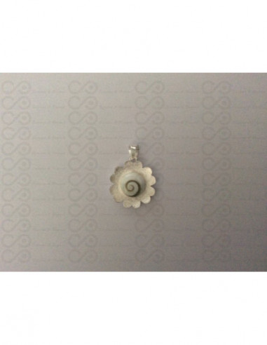 SP 0063 Pendant Shiva Eye Shell Silver