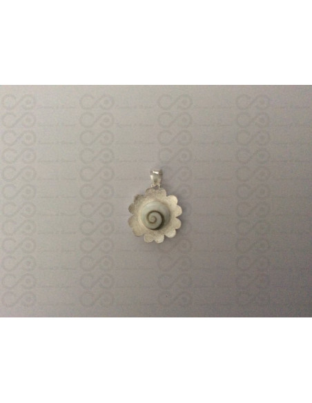 SP 0063 Pendant Shiva Eye Shell Silver