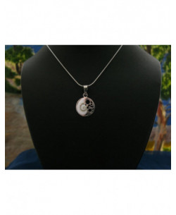 SP 0185 Pendant Shiva Eye Shell Silver