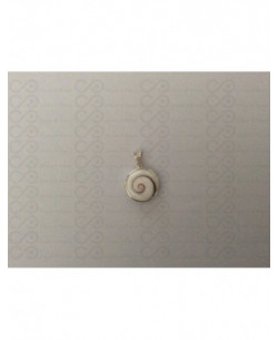 SP 0189 Pendant Shiva Eye Shell Silver 2