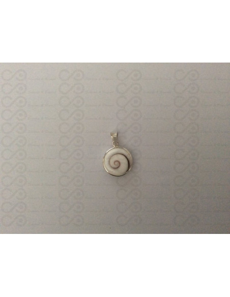 SP 0189 Pendant Shiva Eye Shell Silver