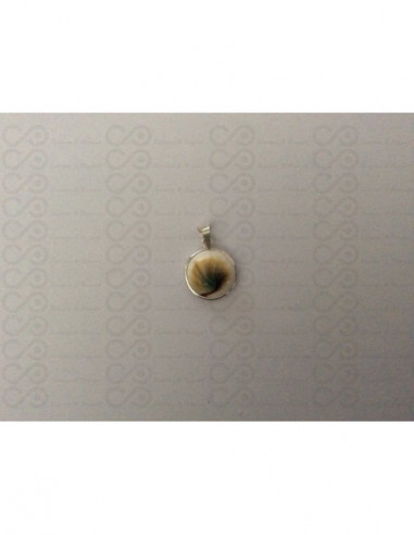 SP 0189 Pendant Shiva Eye Shell Silver