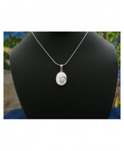 SP 0190 Pendant Shiva Eye Shell Silver