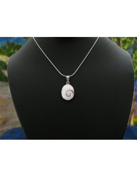 SP 0190 Pendant Shiva Eye Shell Silver