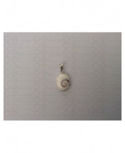 SP 0190 Pendant Shiva Eye Shell Silver 2