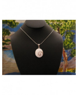 SP 0199 Pendant Shiva Eye Shell Silver