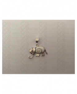 SP 0214 Pendant Shiva Eye Shell Silver 2