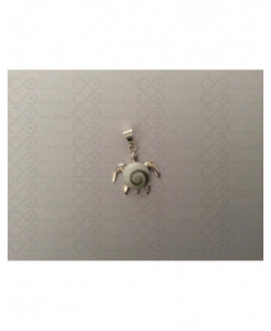 SP 0218 Pendant Shiva Eye Shell Silver 2