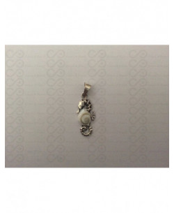 SP 0220 Pendant Shiva Eye Shell Silver 2