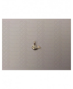 SP 0222 Pendant Shiva Eye Shell Silver 2