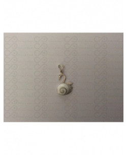 SP 0230 Pendant Shiva Eye Shell Silver 2