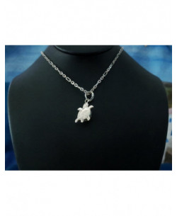 SP 0236 Pendant Shiva Eye Shell Silver 2