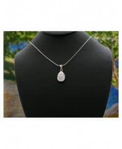 SP 0240 Pendant Shiva Eye Shell Silver