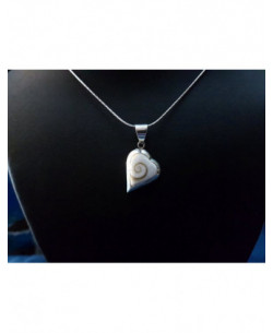 SP 0247 Pendant Shiva Eye Shell Silver