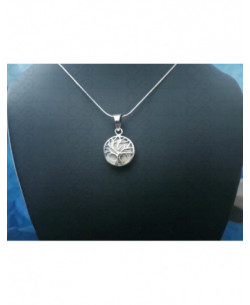 SP 0275 Pendant Shiva Eye Shell Silver 2
