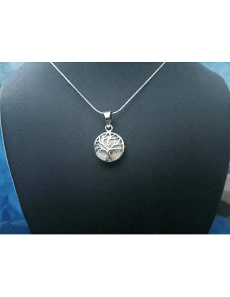 SP 0275 Pendente in Argento con Occhio di Shiva