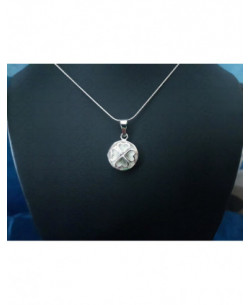 SP 0278 Pendant Shiva Eye Shell Silver 2