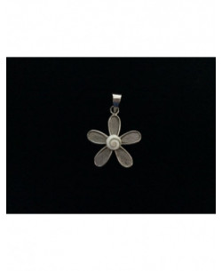 SP 0303 Pendant Shiva Eye Shell Silver 2