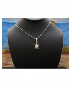 SP 0318 Pendant Shiva Eye Shell Silver