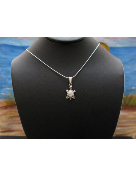 SP 0318 Pendente in Argento con Occhio di Shiva