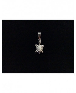 SP 0318 Pendant Shiva Eye Shell Silver 2