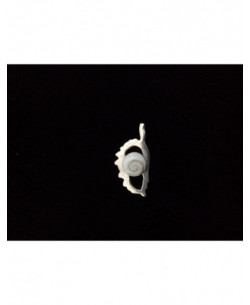 SP 0321 Pendant Shiva Eye Shell Silver 2