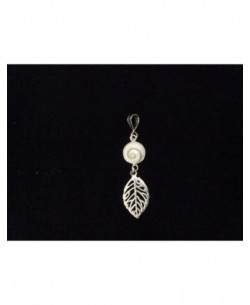 SP 0323 Pendant Shiva Eye Shell Silver 2