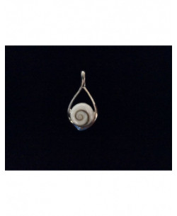 SP 0324 Pendant Shiva Eye Shell Silver 2