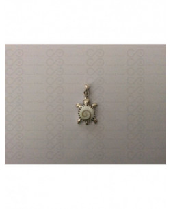 SP 0339 Pendant Shiva Eye Shell Silver 2